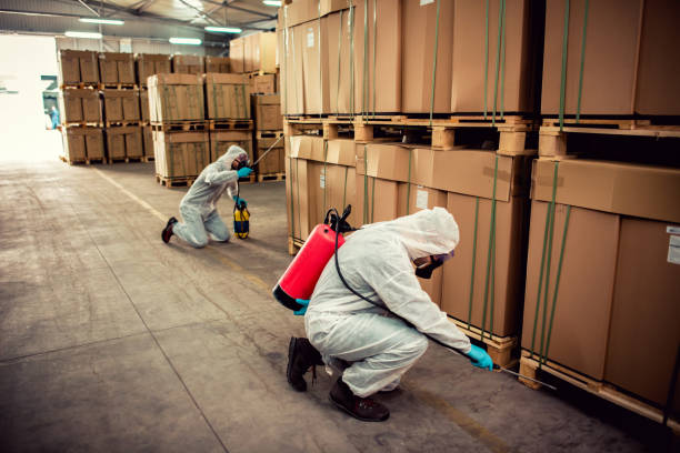Best Local Pest Control Services  in Clearfield, PA