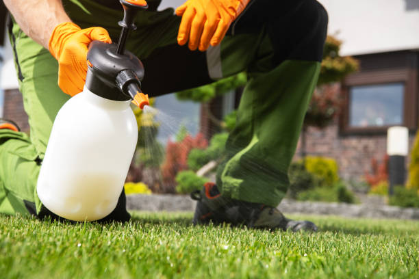Pest Prevention Services in Clearfield, PA