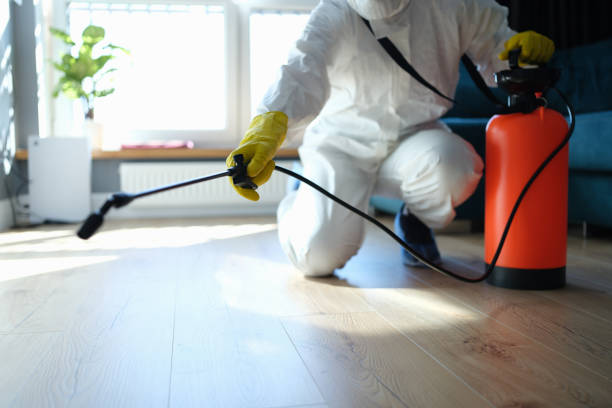 Professional Pest Control in Clearfield, PA